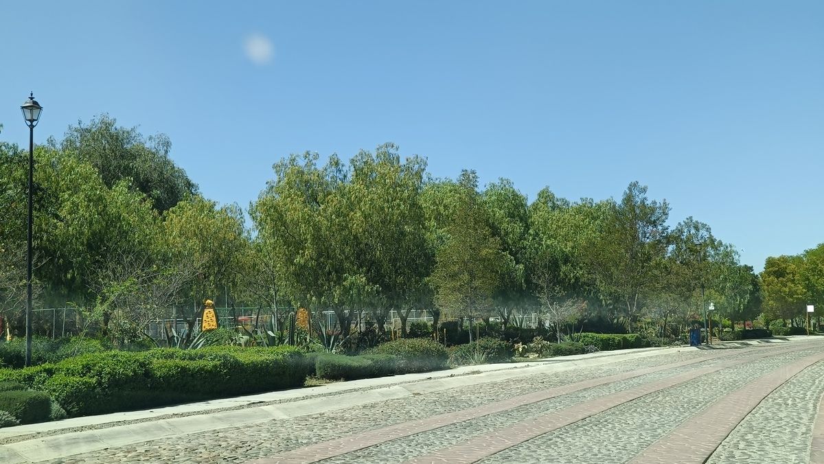 4 de 26