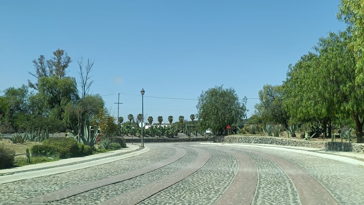 5 de 26