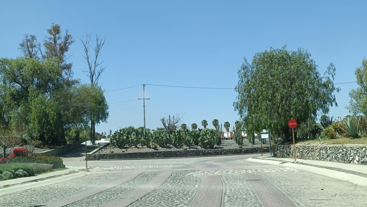 6 de 26
