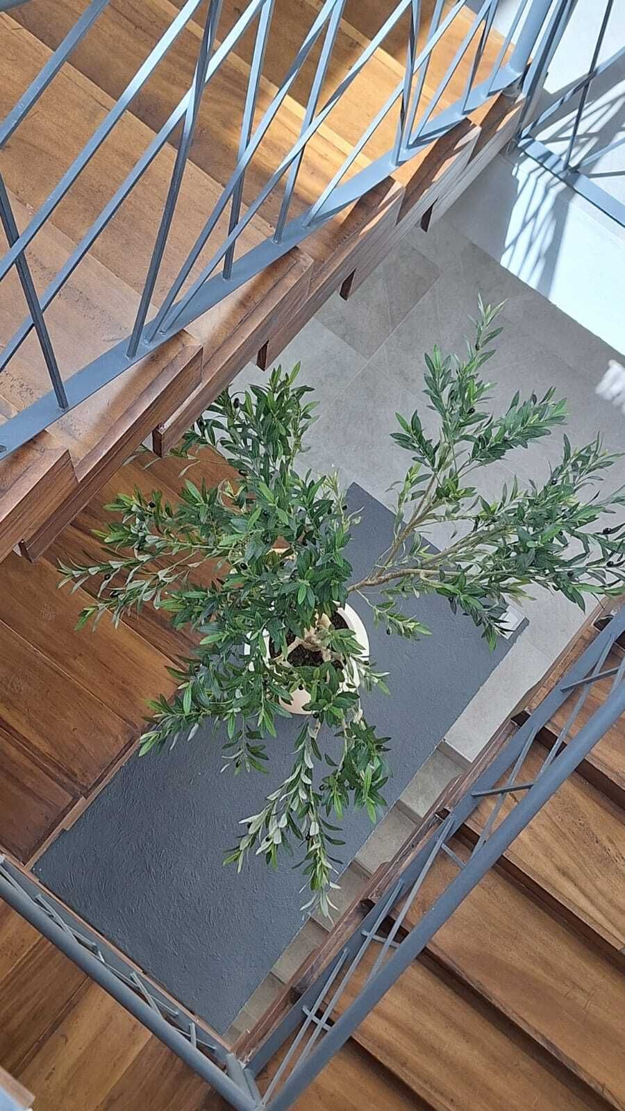 2 of 34