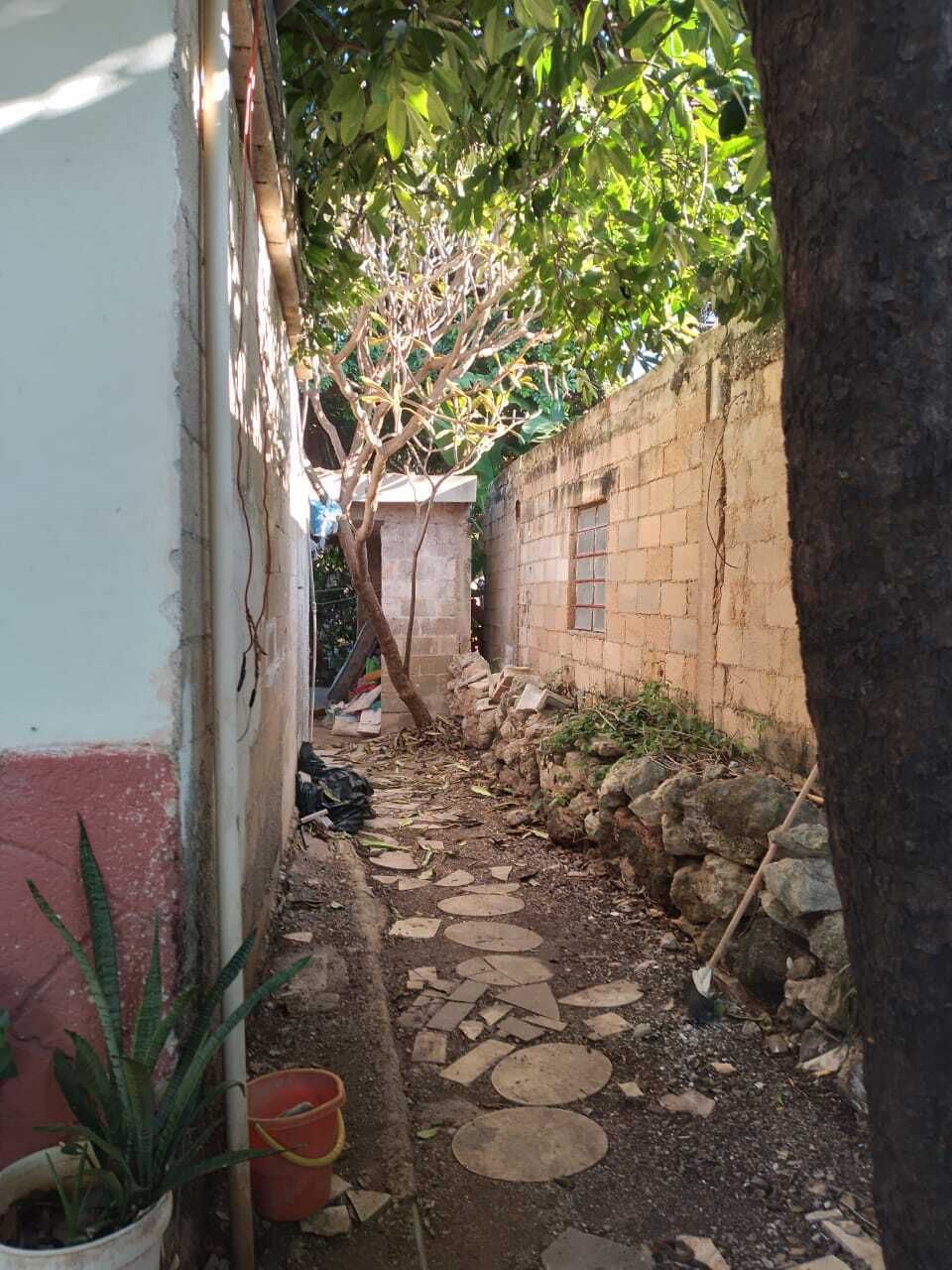6 de 16