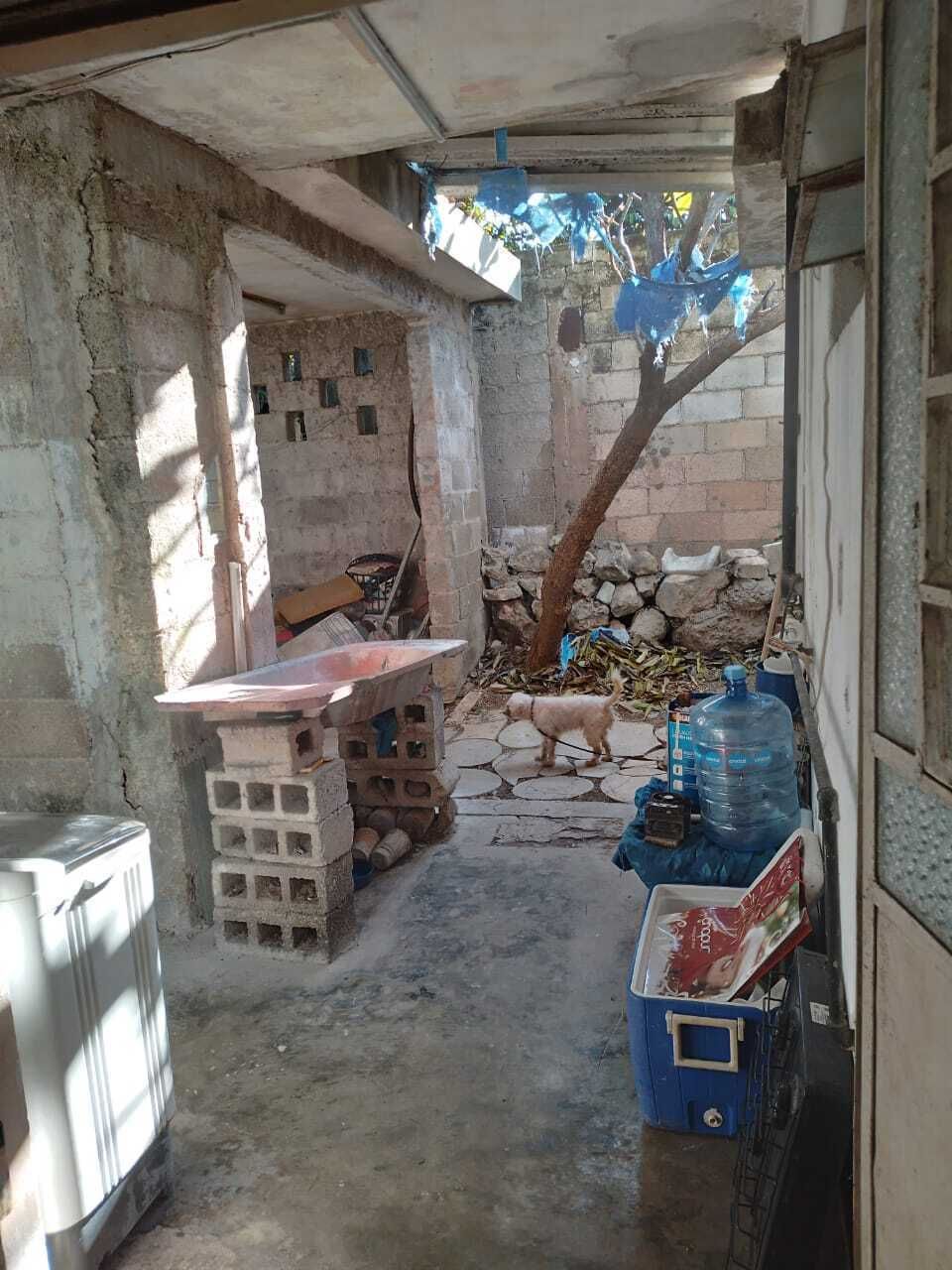 16 de 16