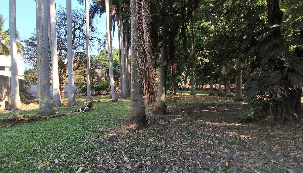 1 de 20