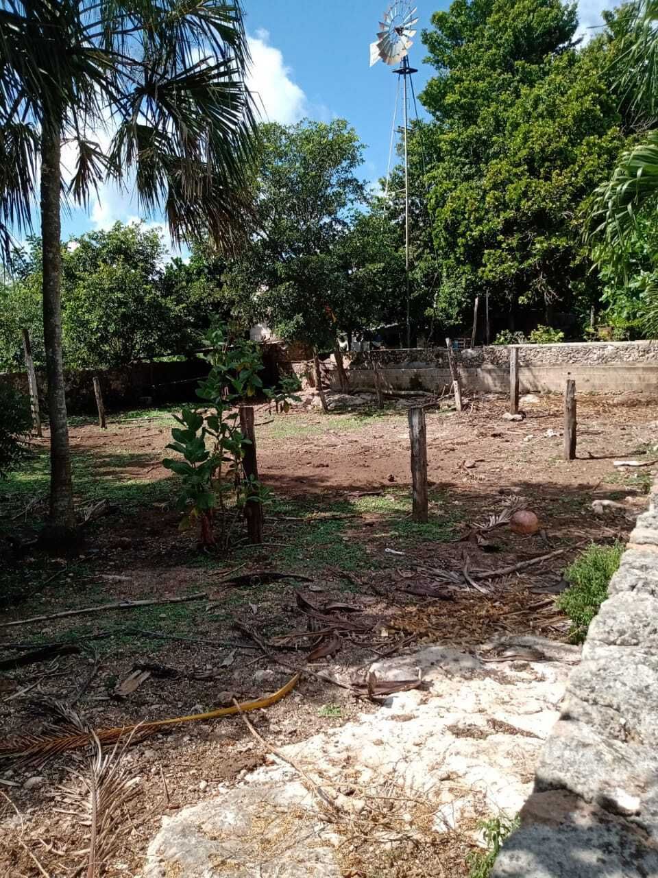Corral