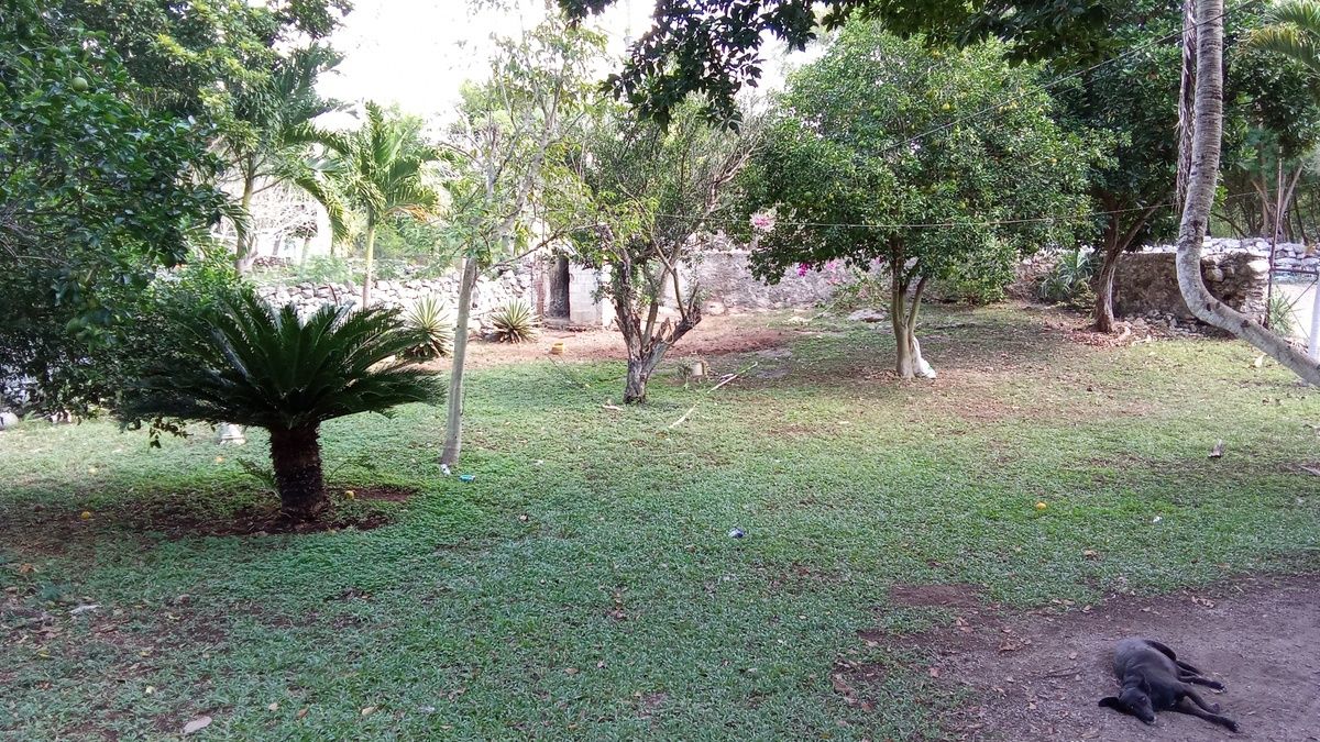 Jardín finca
