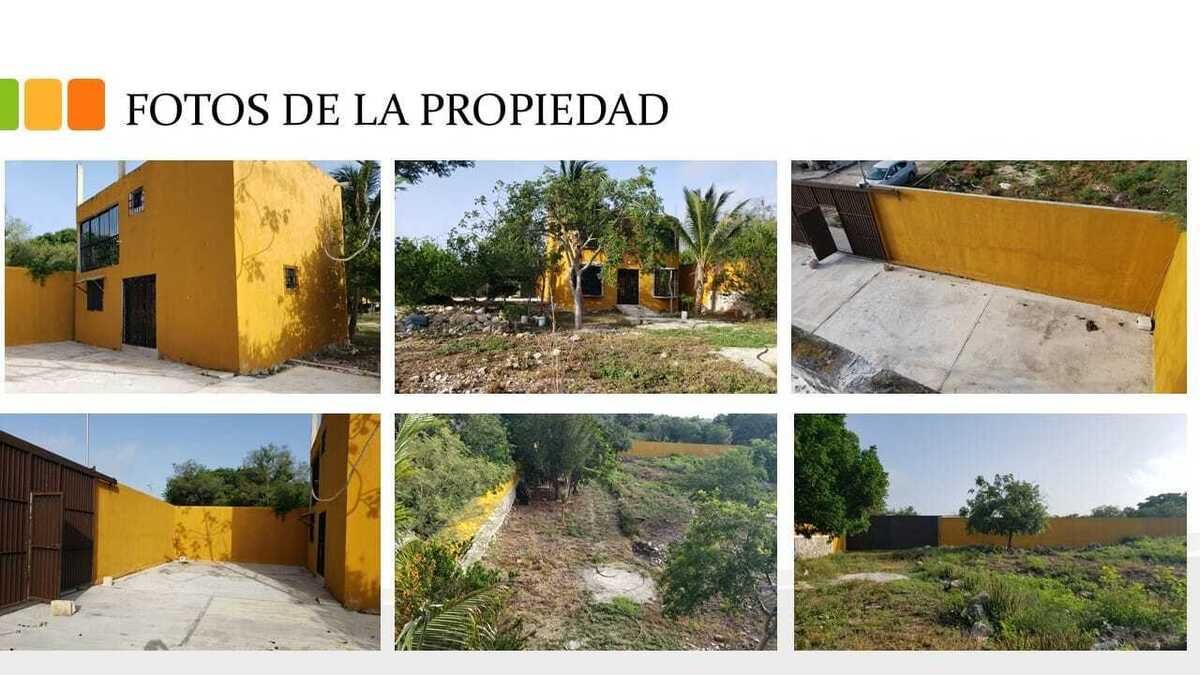 3 de 6