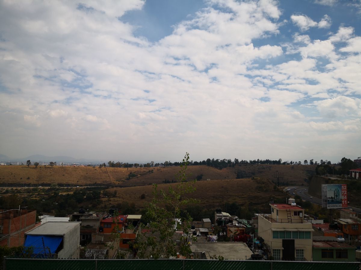 29 de 29