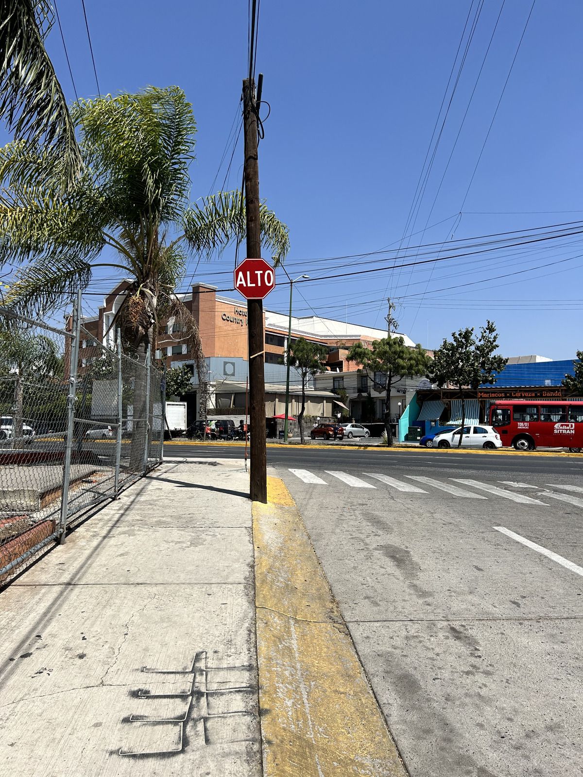 Imagen 3 de 5