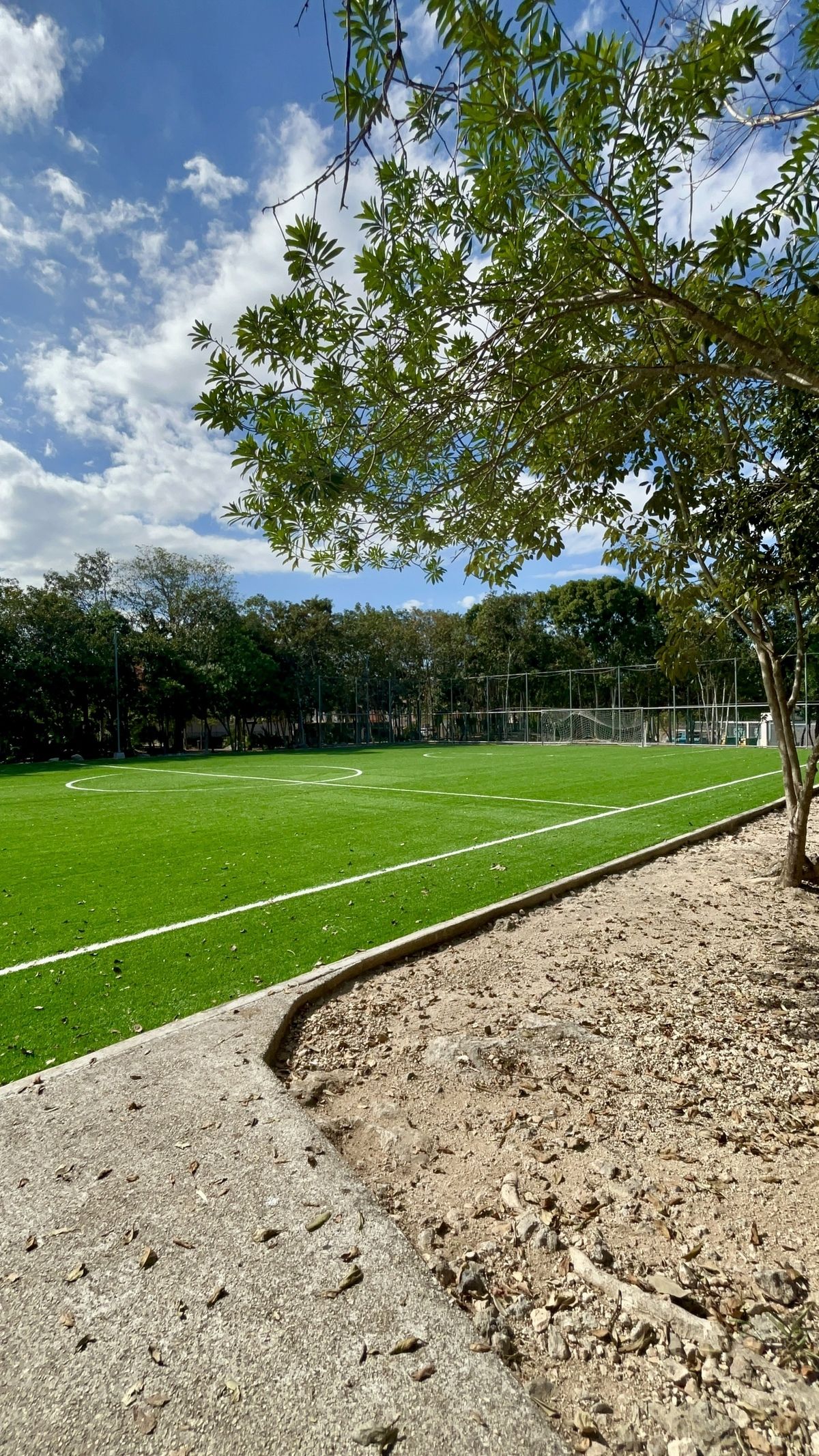 22 of 24: Cancha de futbol