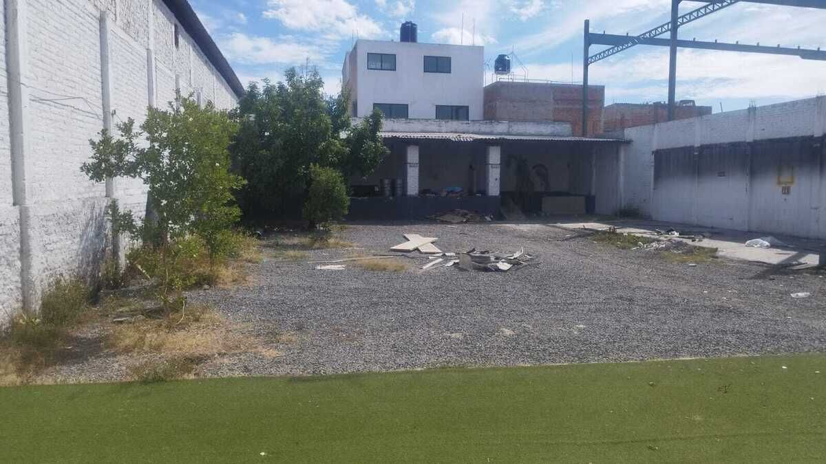 5 de 7