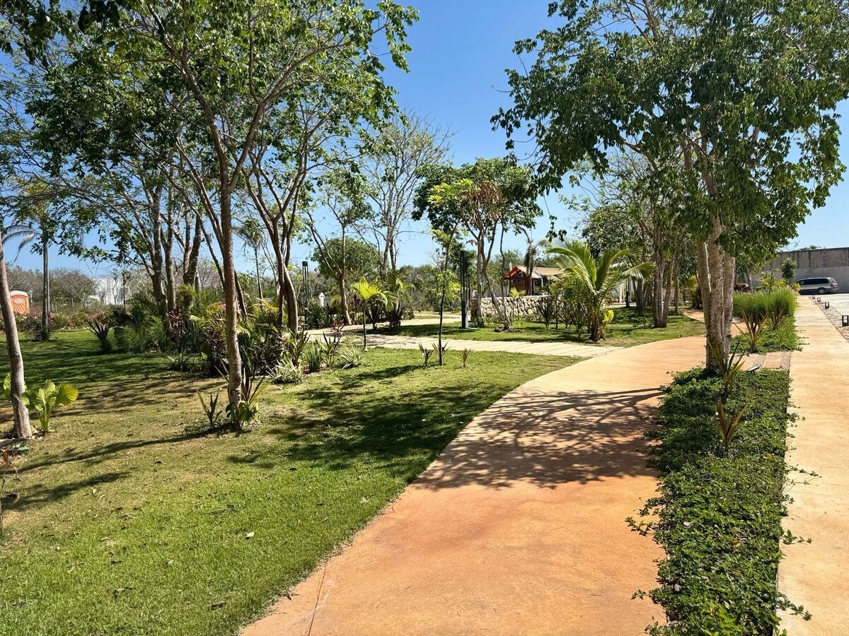 1 de 21