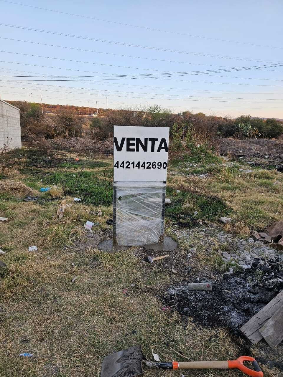 3 de 6