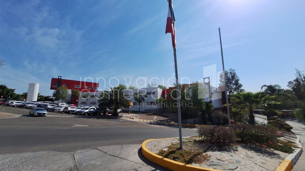 11 de 12