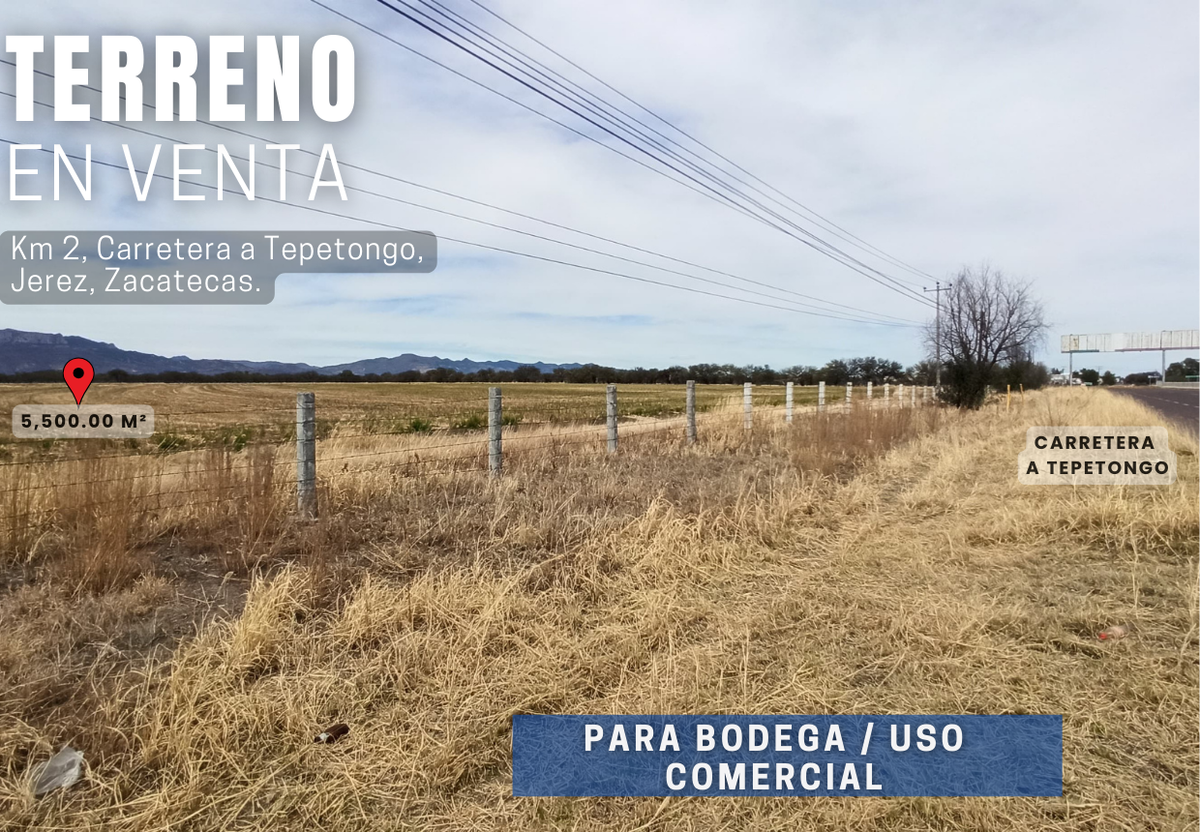 Imagen 4 de 10