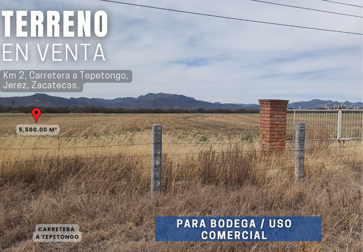 Imagen 7 de 10