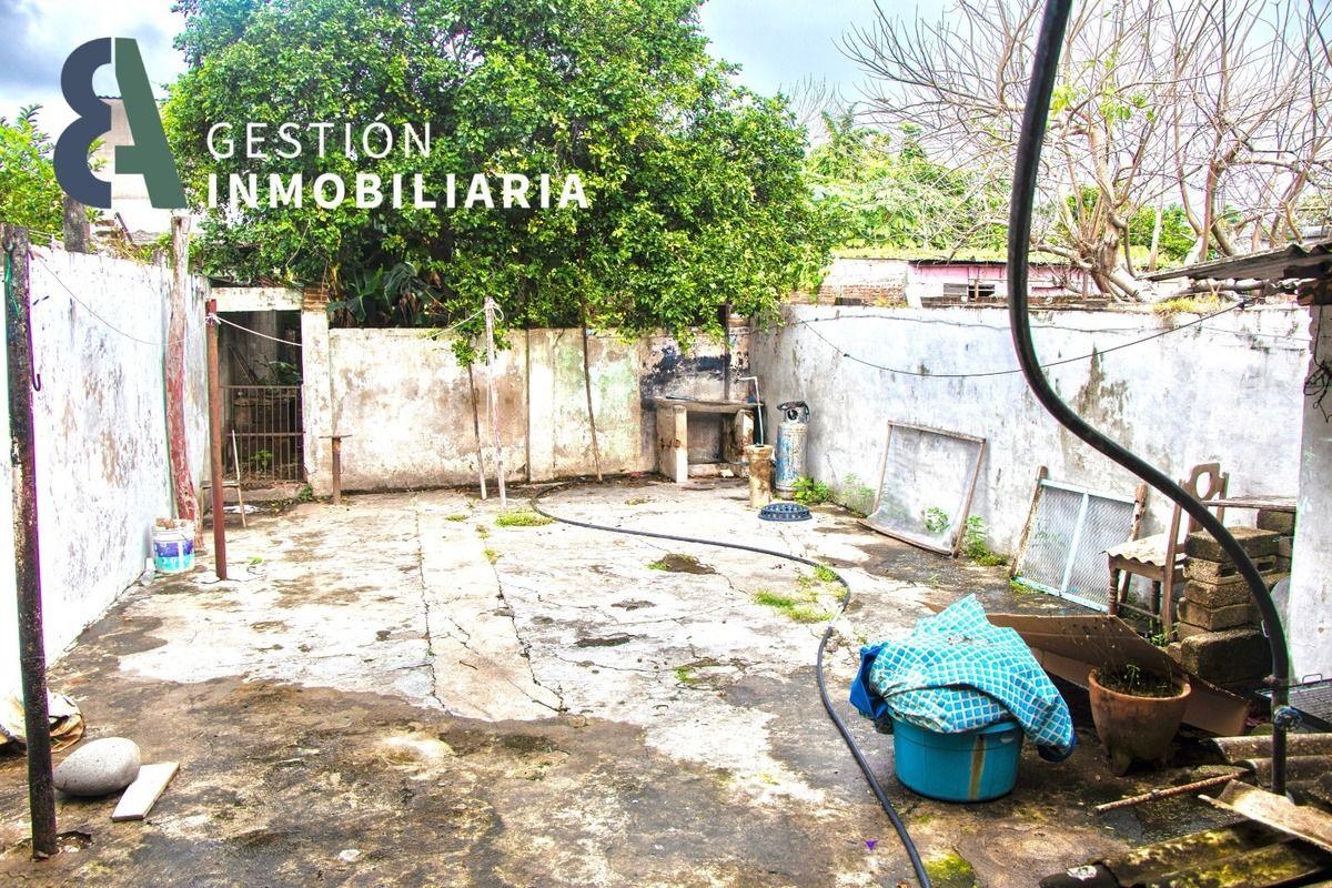 Imagen 10 de 10