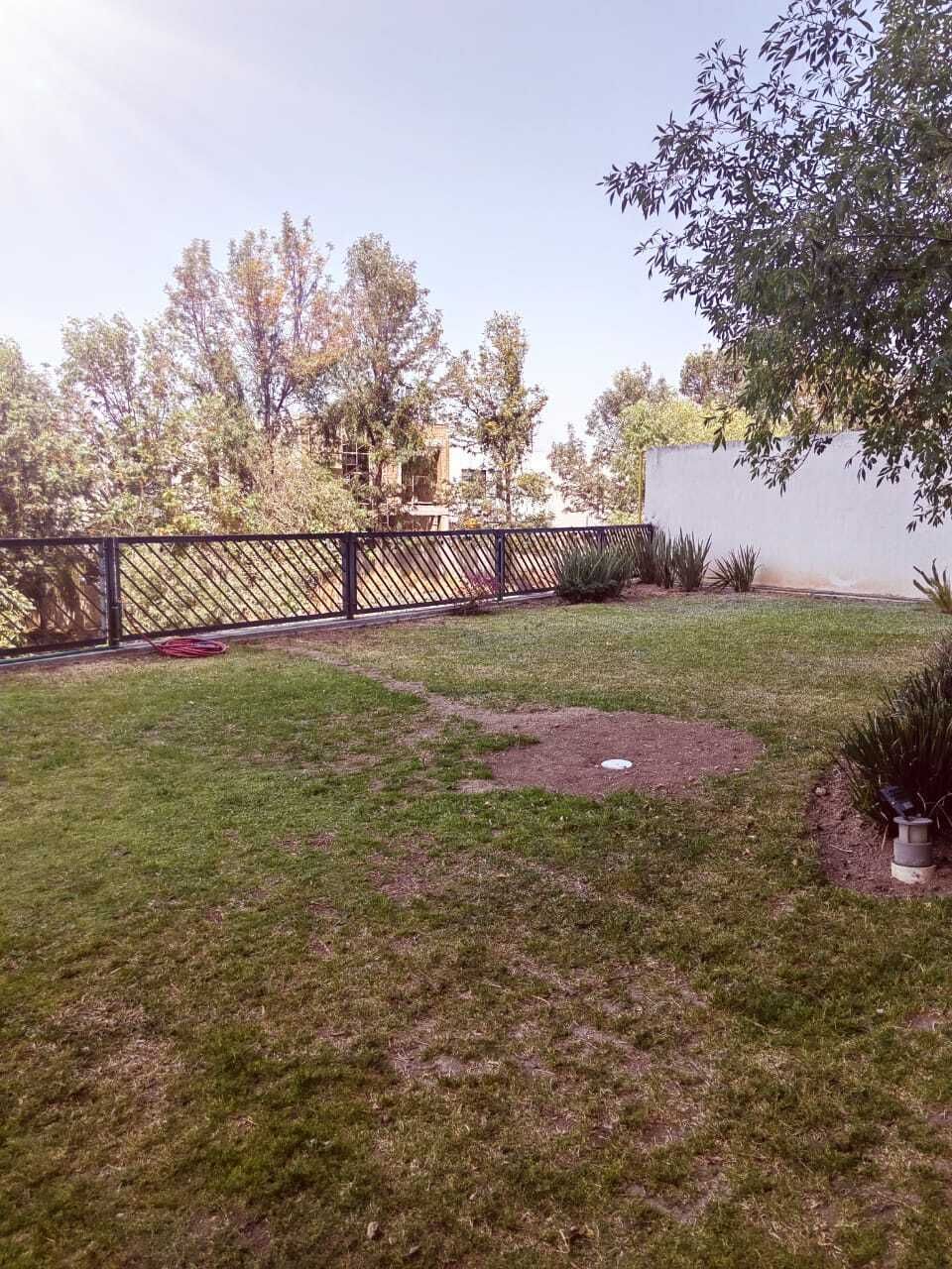 6 de 23