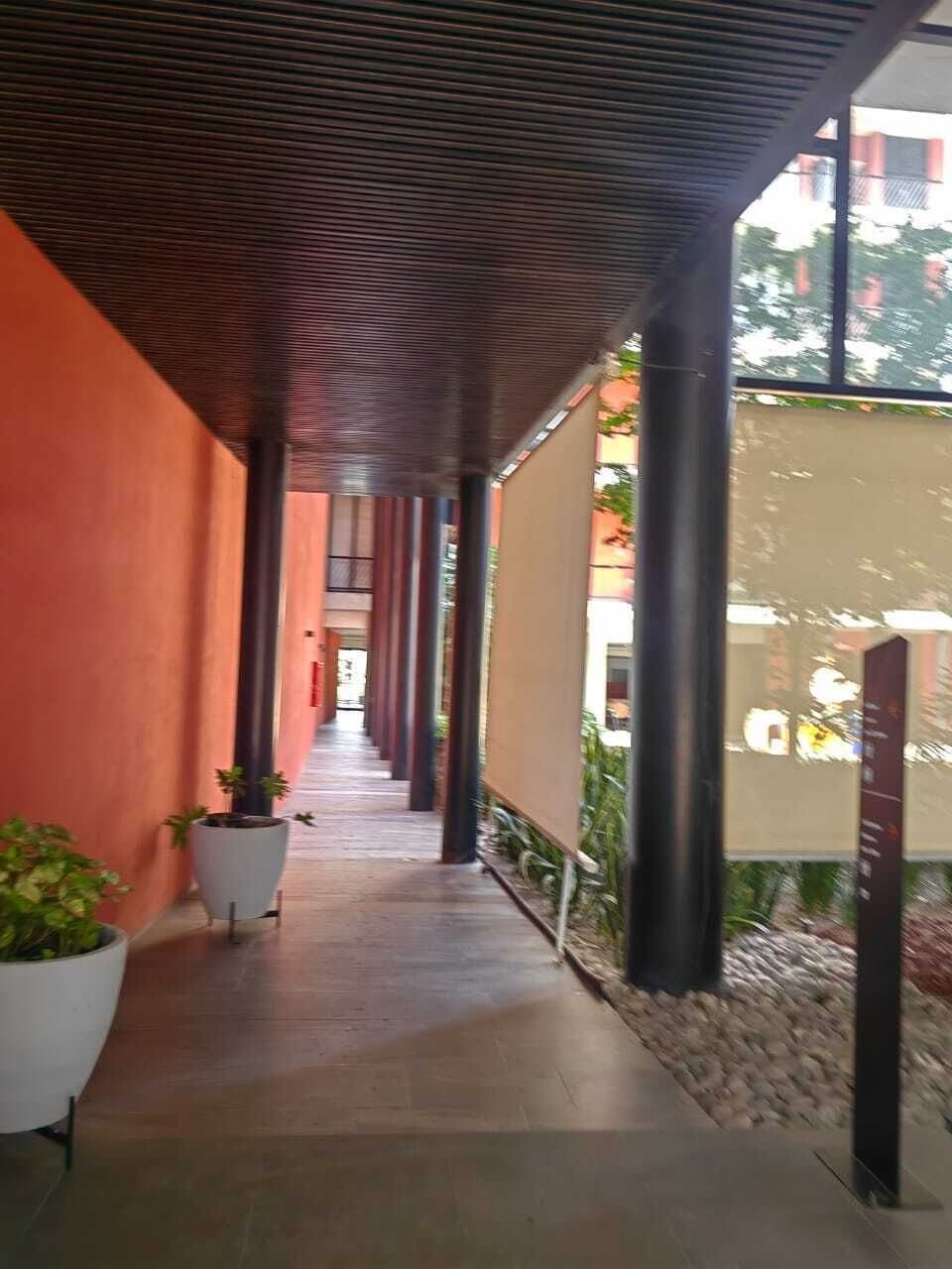 12 de 23