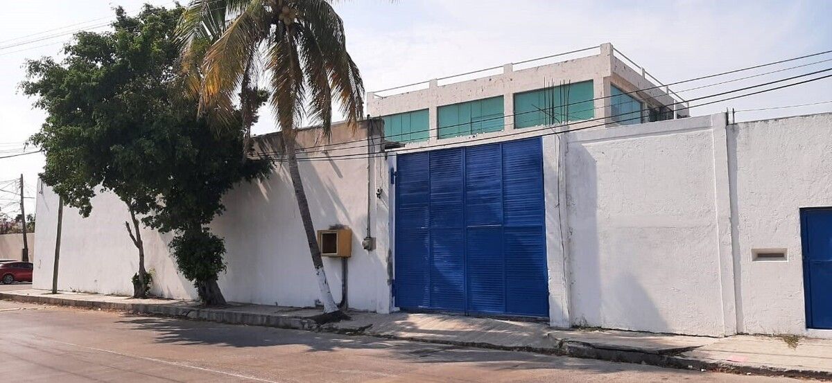 3 de 11