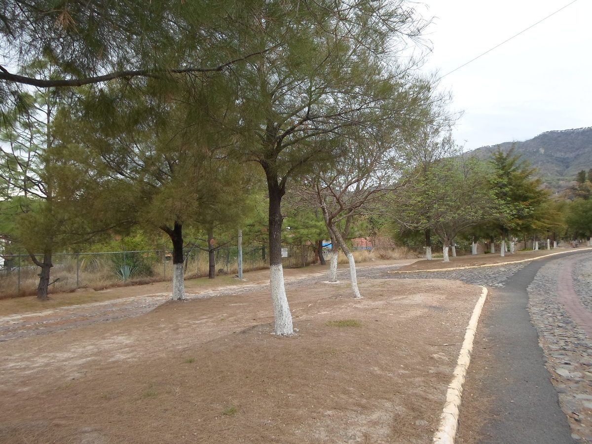 Terreno Fraccionamiento Haciendas  la Herradura Club U de G Zapopan