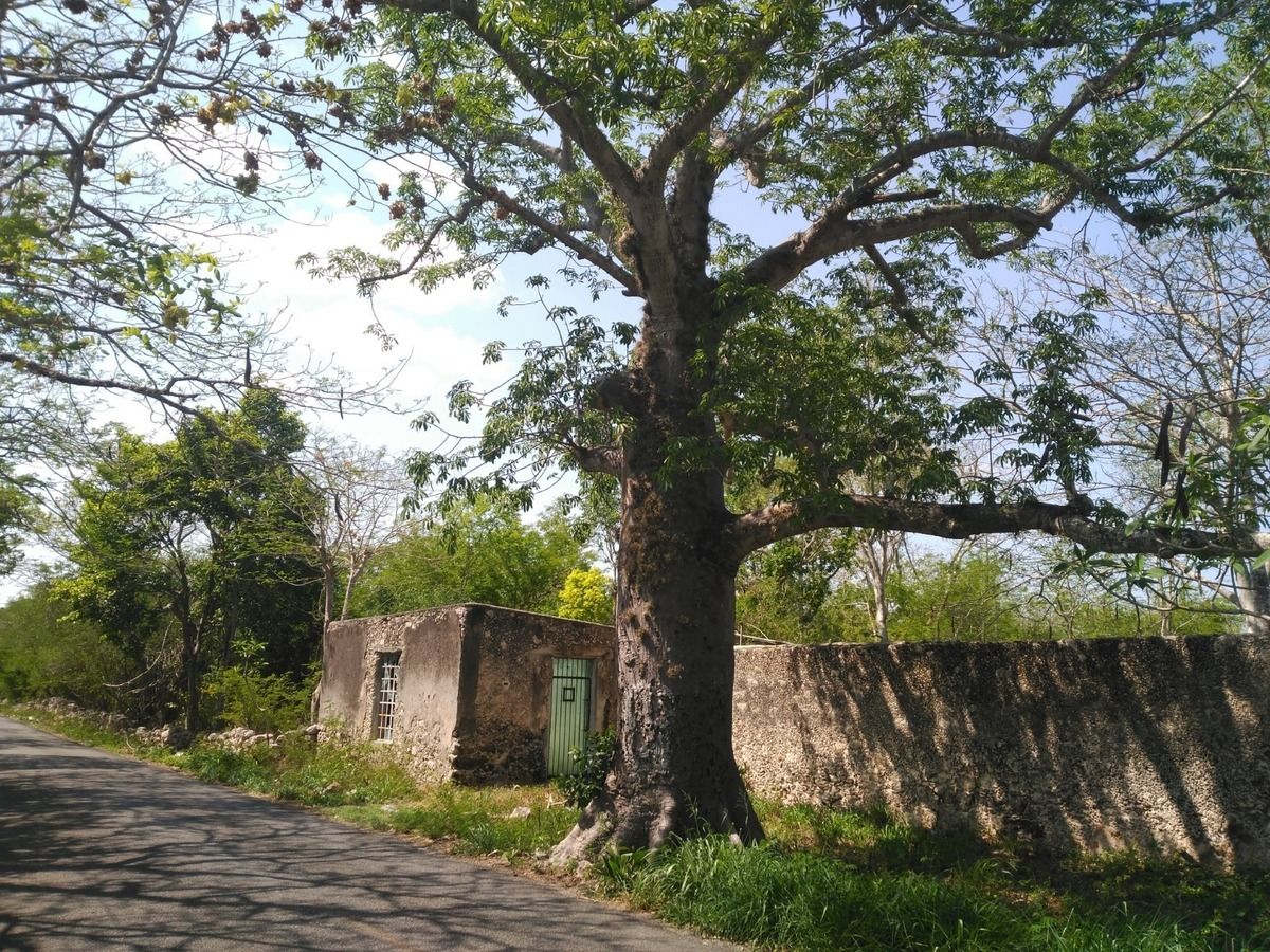 Muro lateral