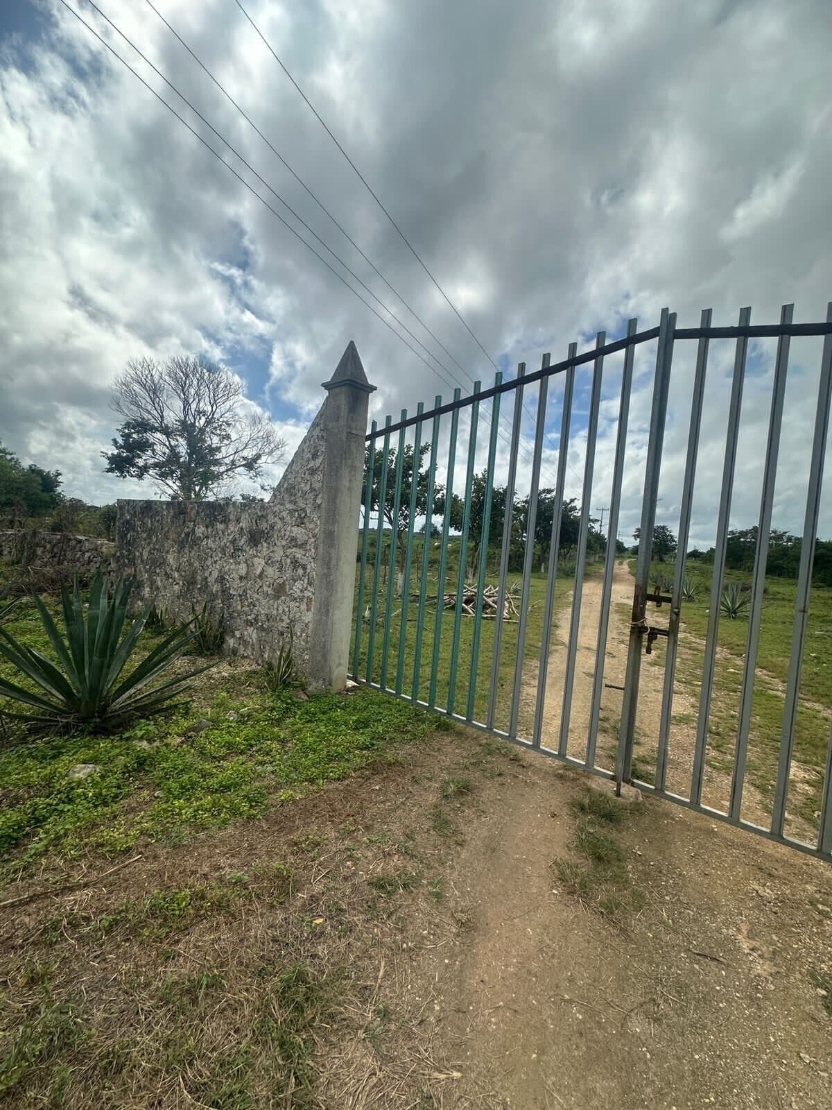 Reja acceso terrenos de la Hacienda