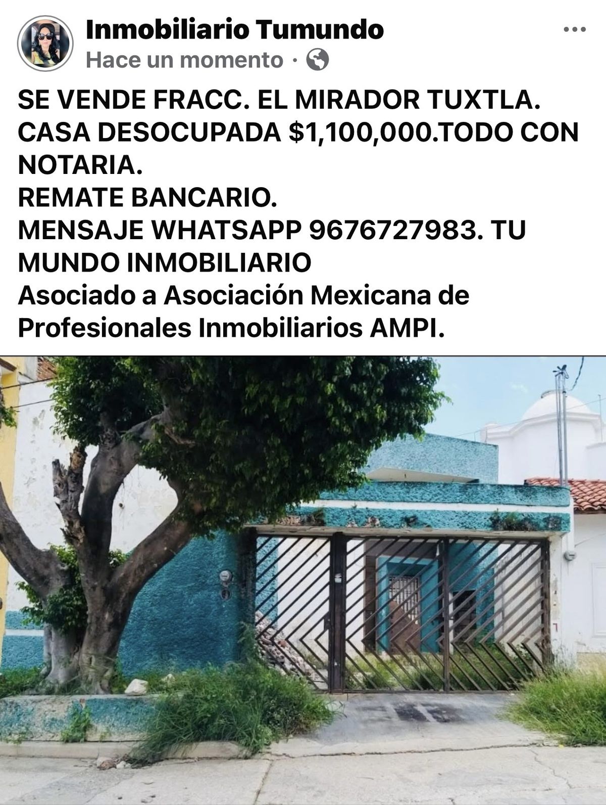 12 de 26