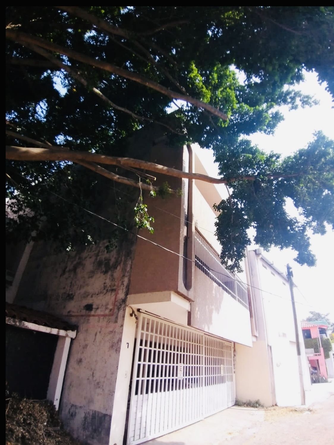 16 de 50