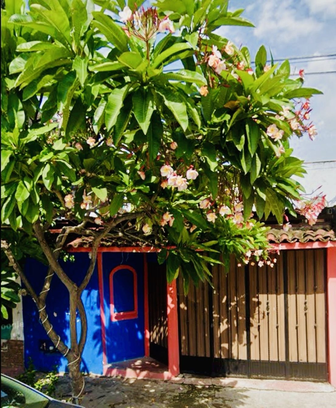 39 de 50