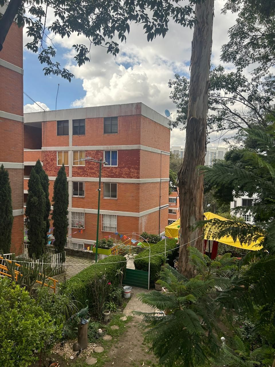 VENTA DEPARTAMENTO U.H. SAN LORENZO