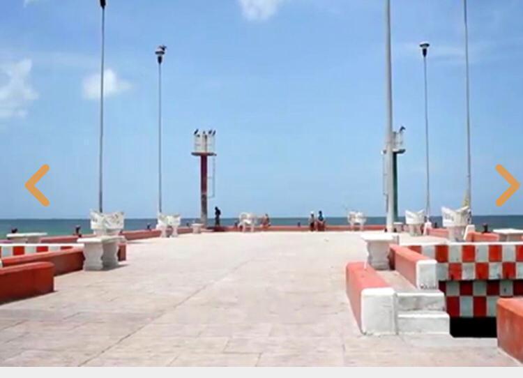2 de 7