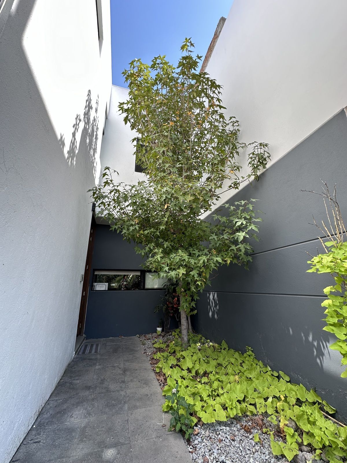 House in Bosques Vallarta, Zapopan, photo 2 of 21