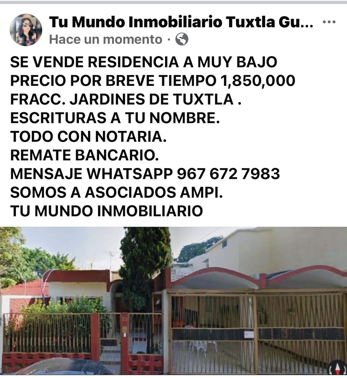 49 de 50
