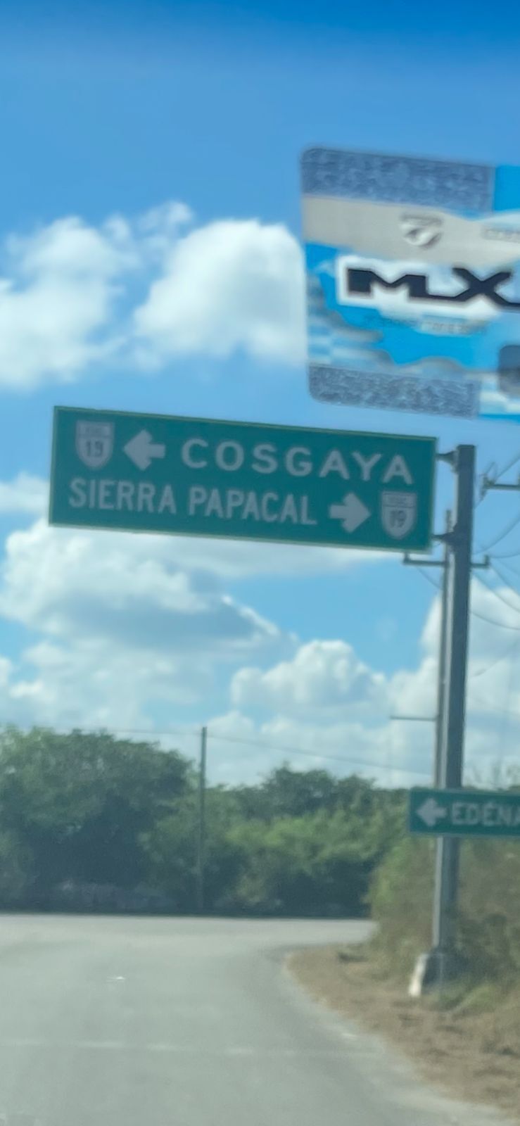 19 de 49