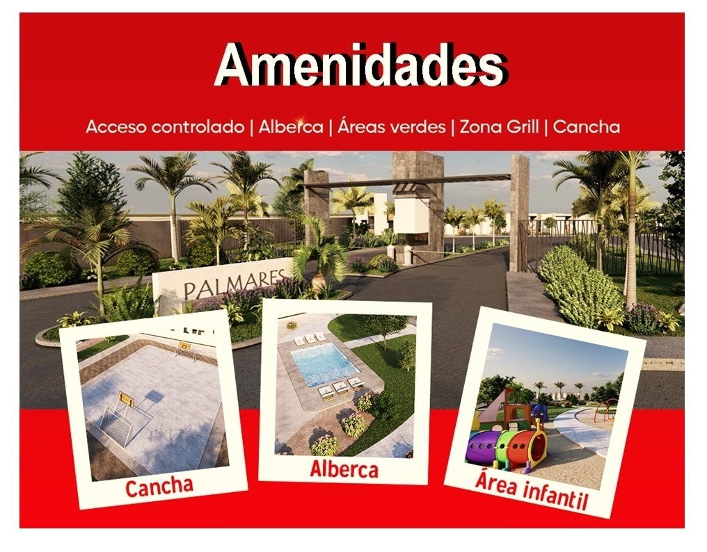 Imagen 8 de 8