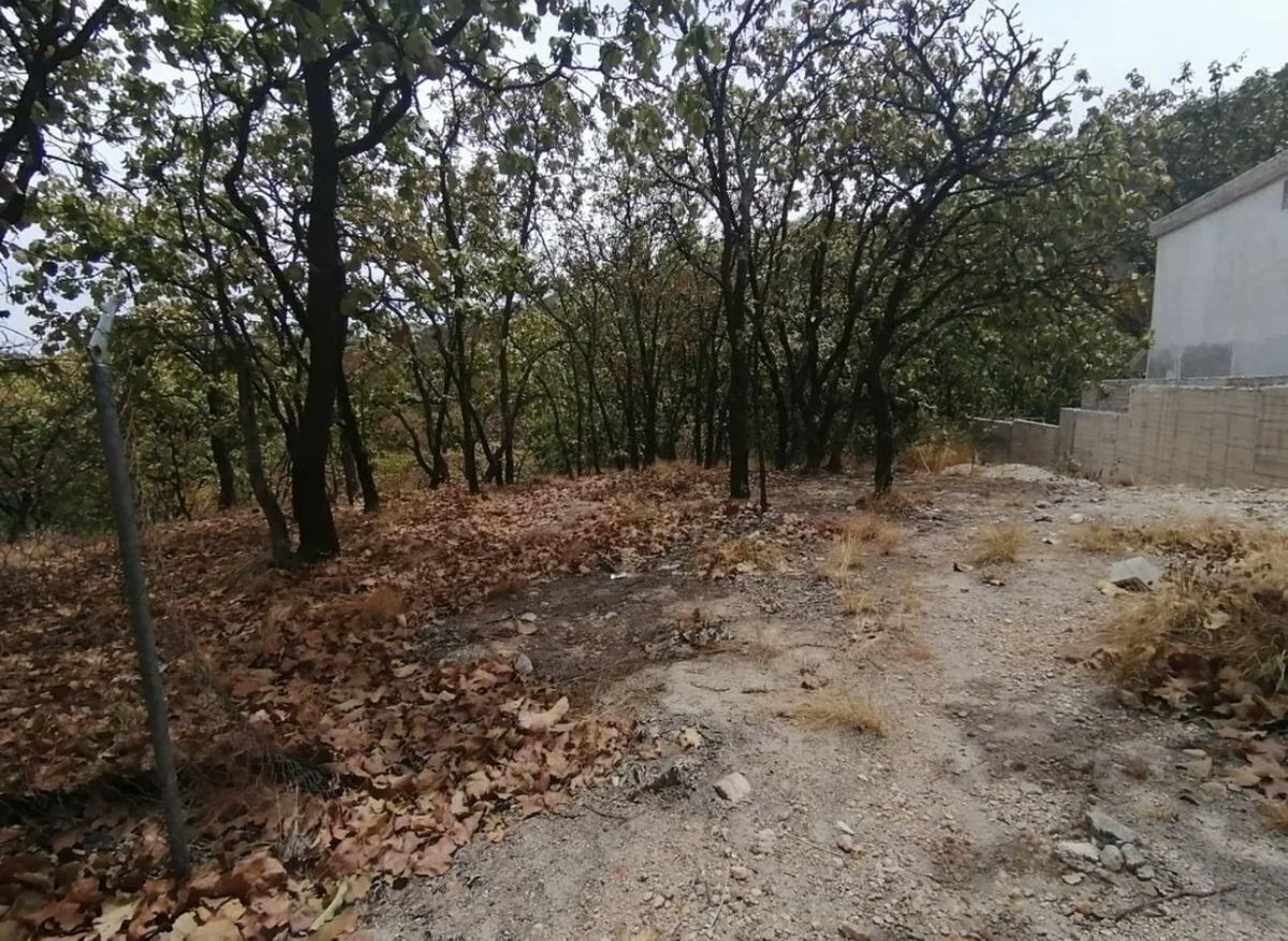 INCREÍBLE TERRENO EN VENTA ARRIBA EN EL PALOMAR - foto 3
