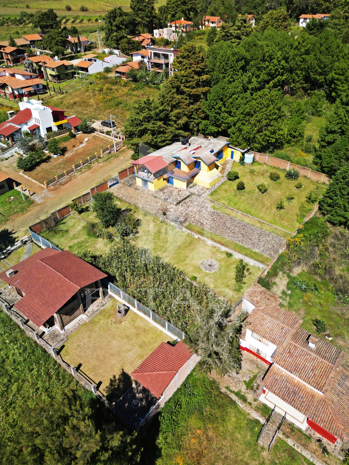2 de 49