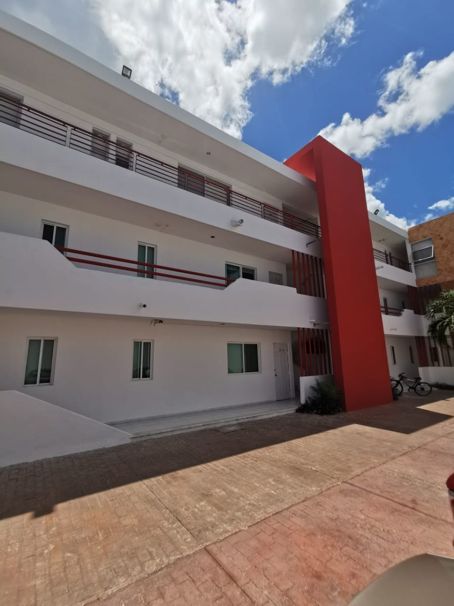 5 de 16