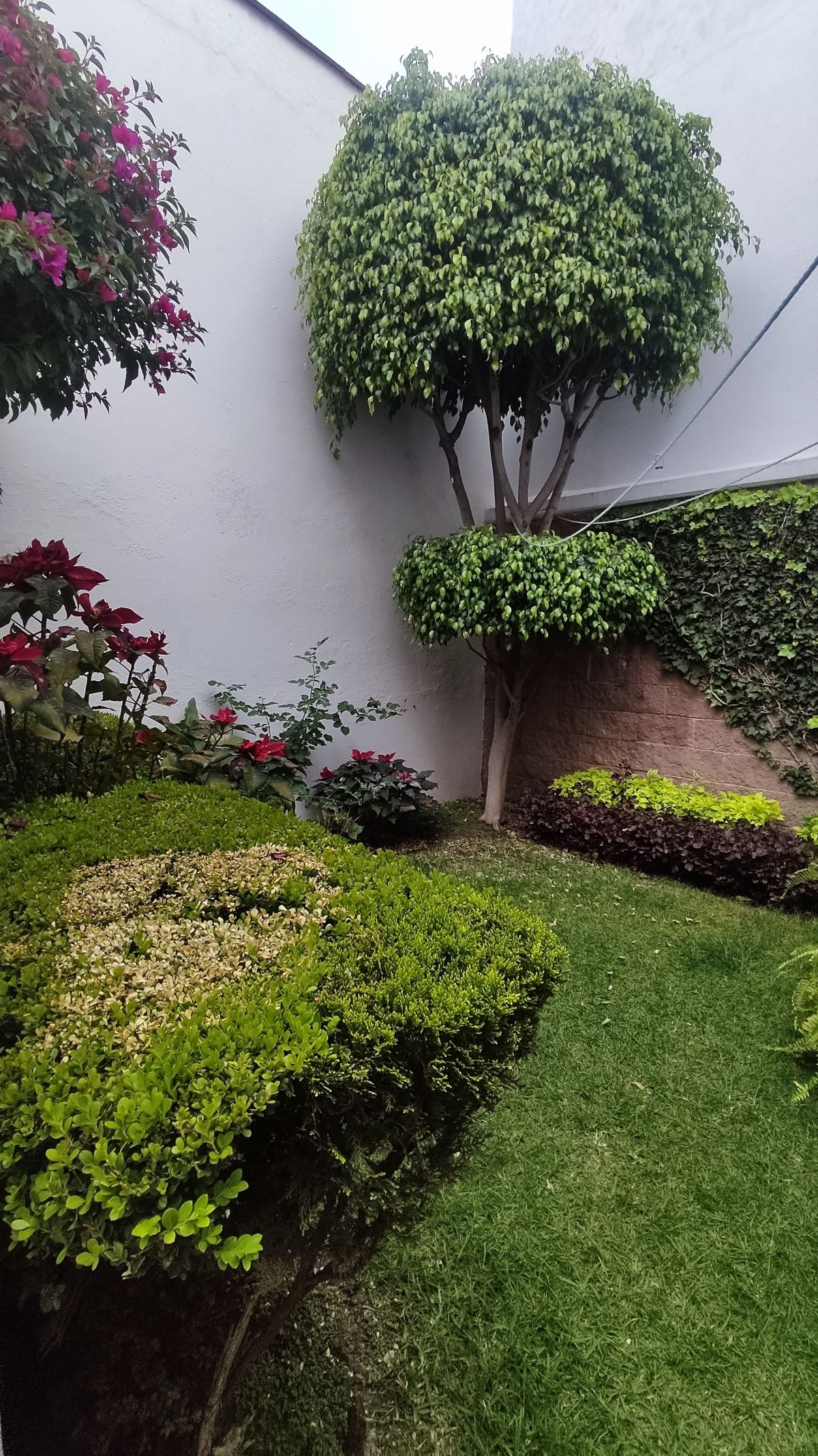 12 de 14