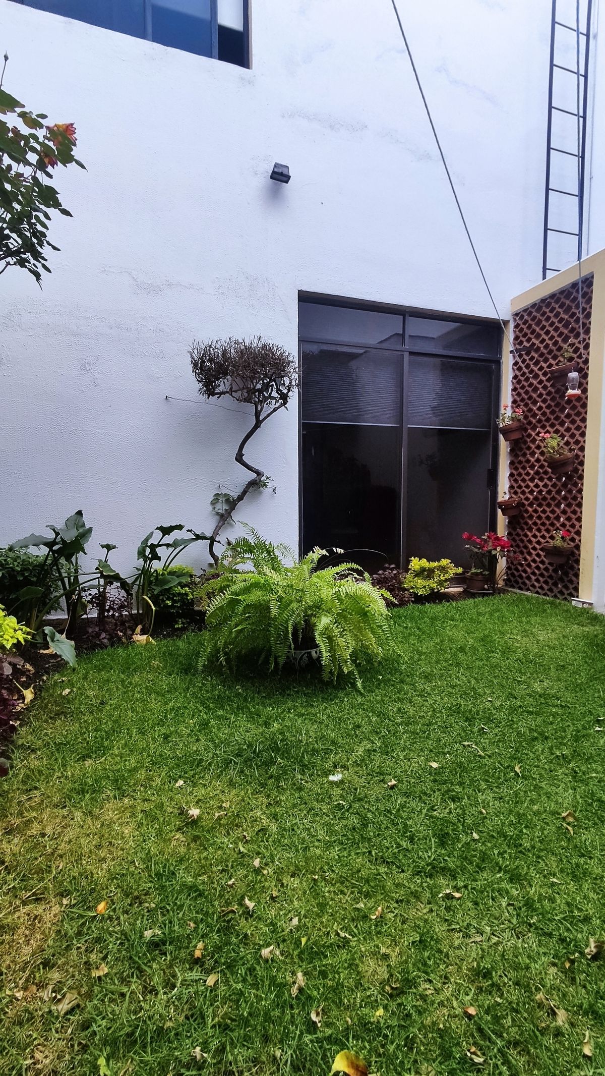14 de 14