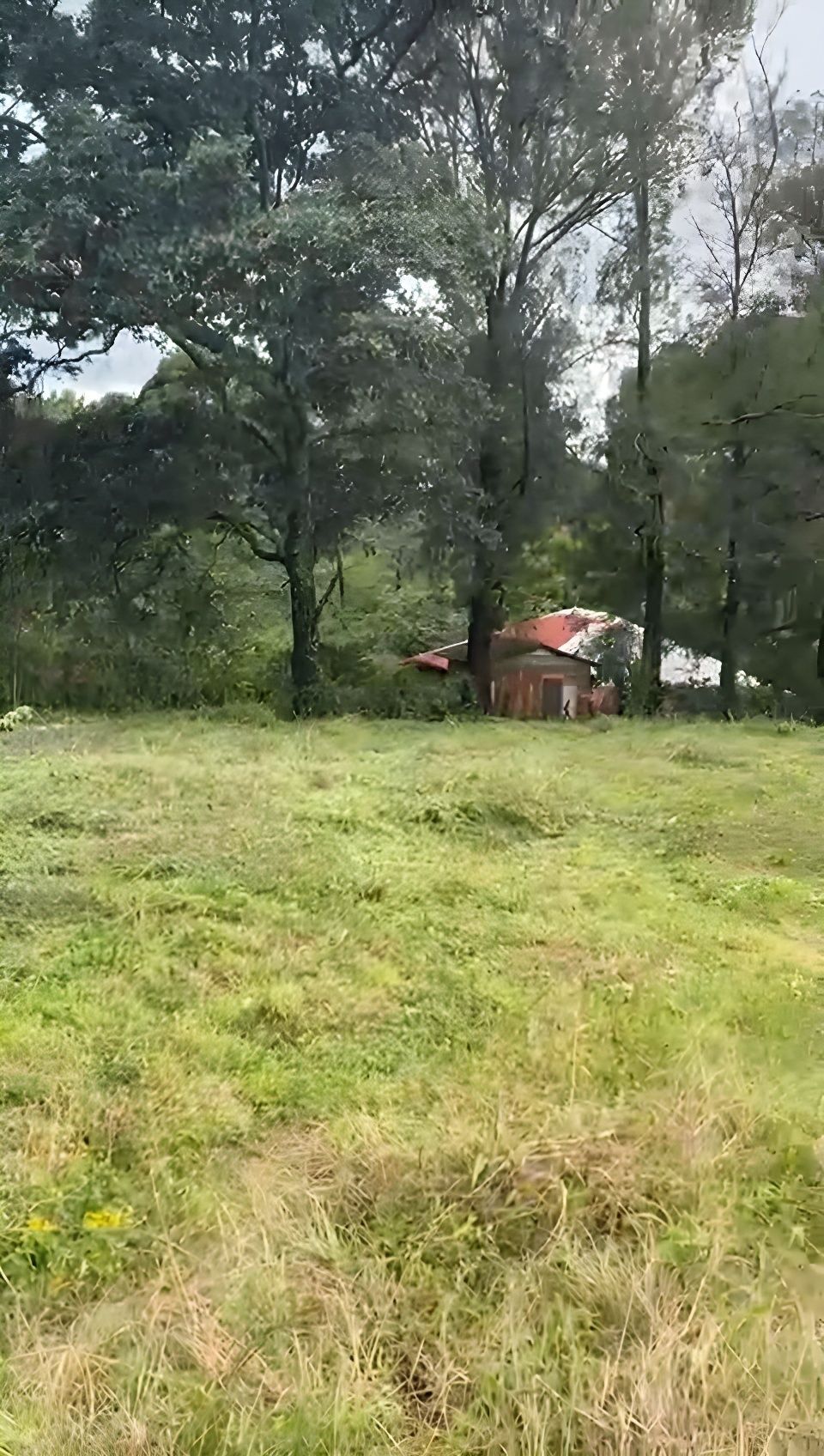 3 de 18