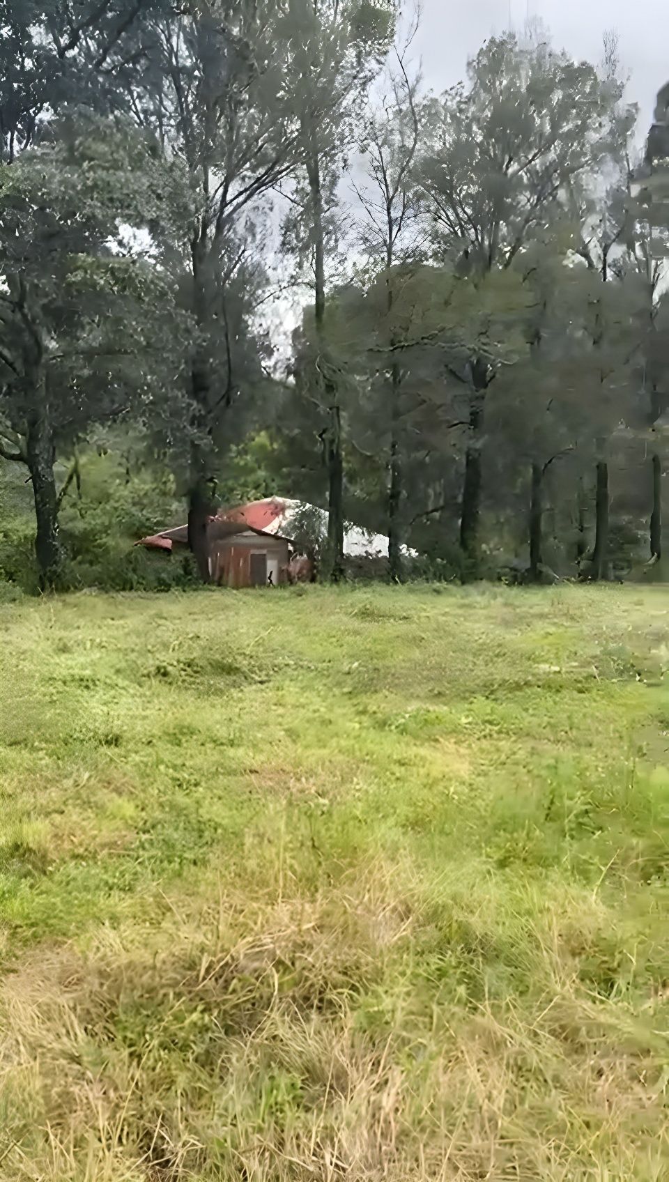 5 de 18