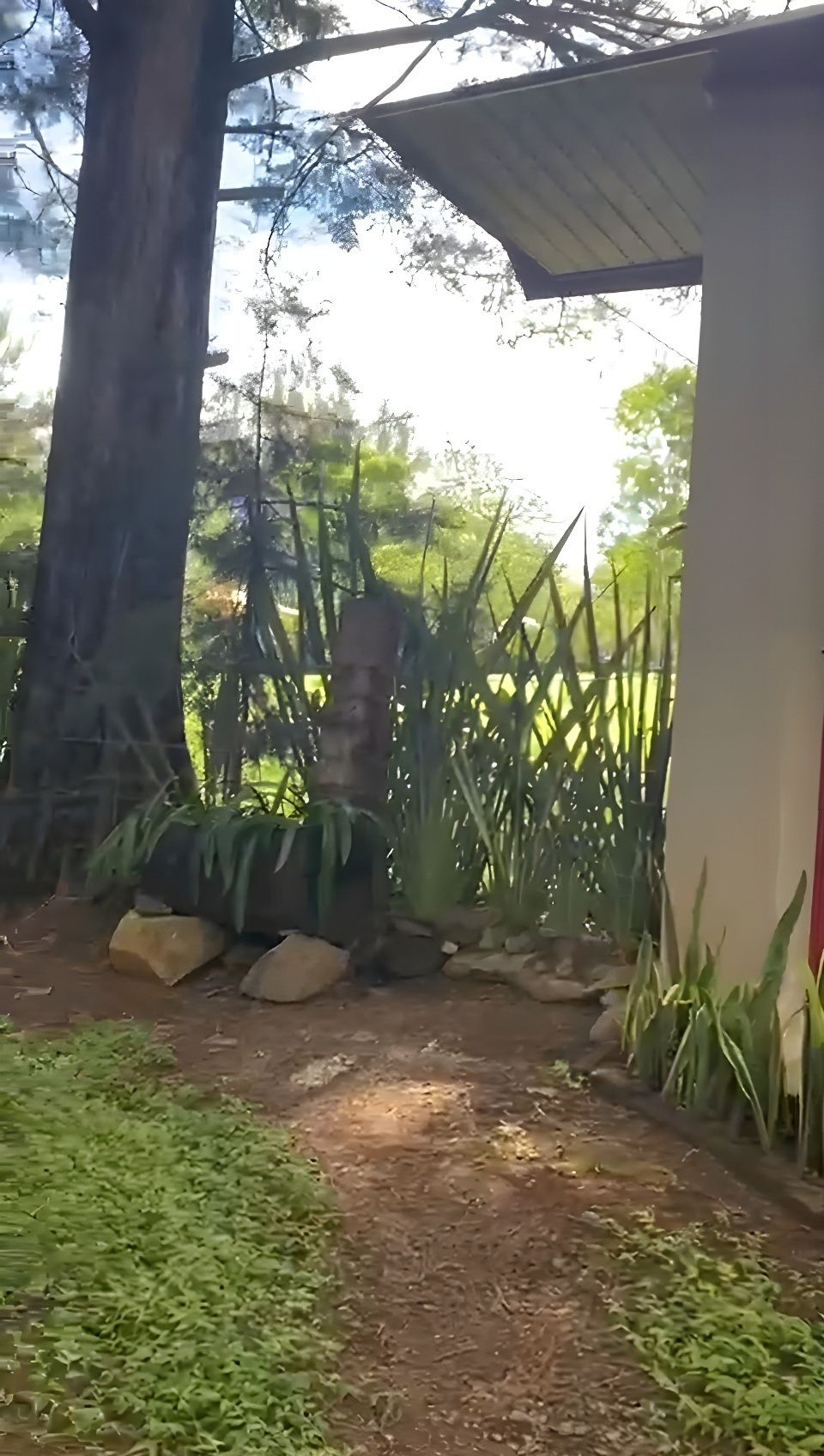 1 de 18