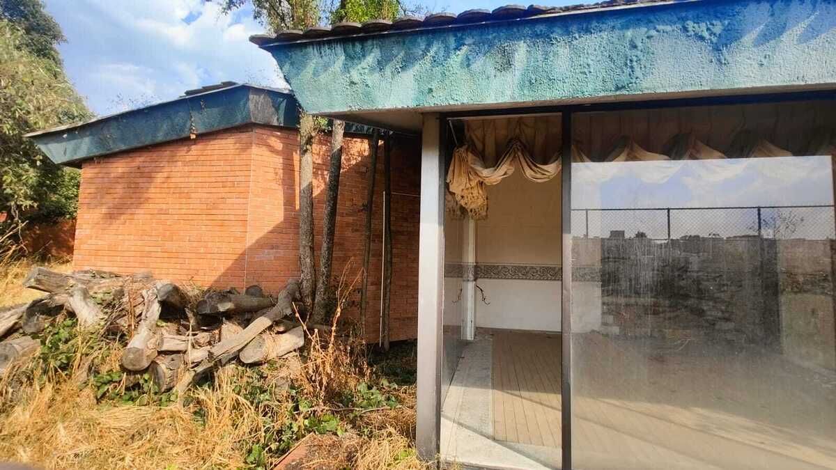 20 de 20: Invierno puerta trasera al jardin