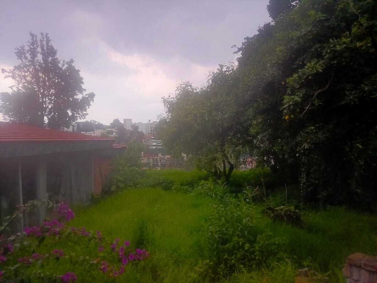 1 de 20: Jardin Frontal