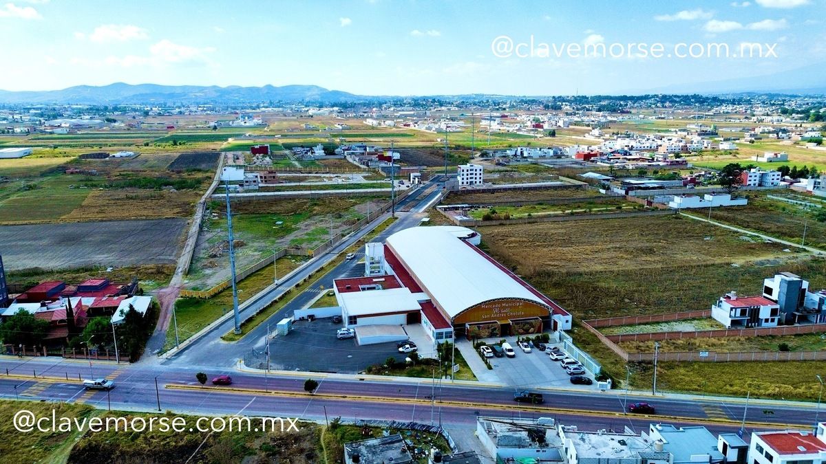 Imagen 10 de 10