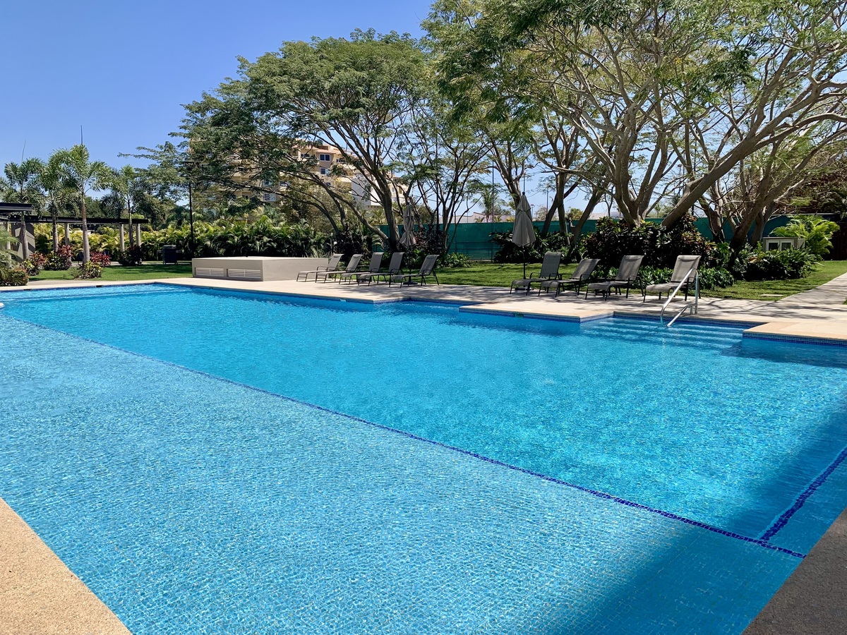 25 of 43: Alberca y jardín