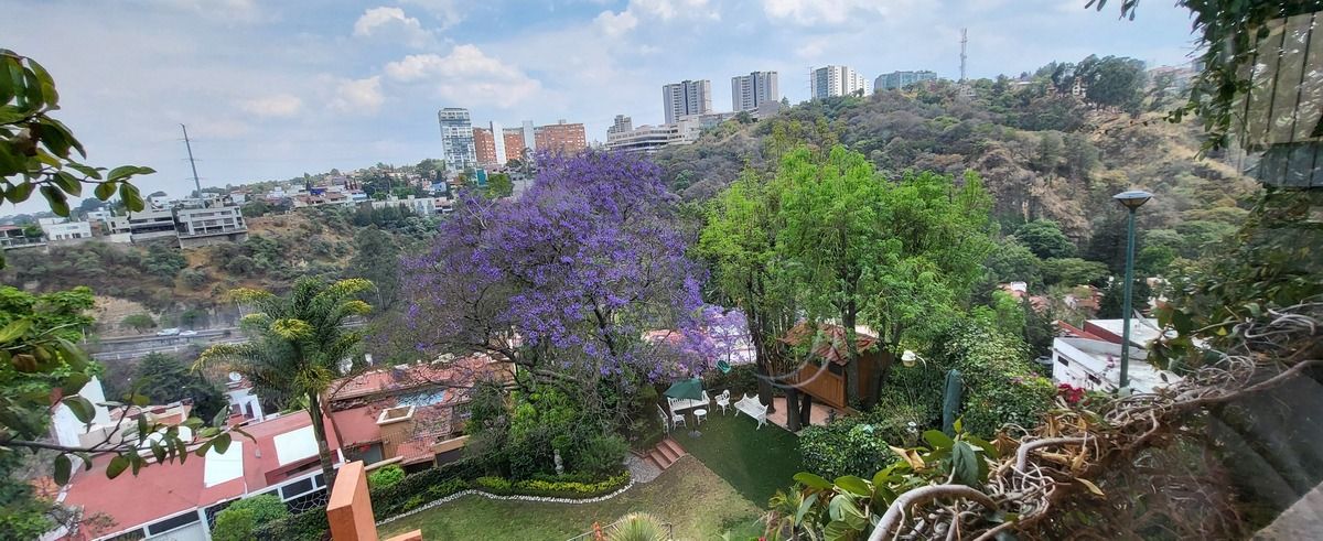 1 de 26: Vista