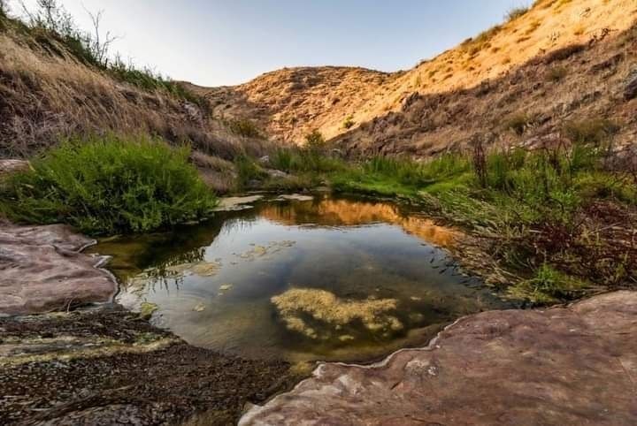 7 of 50: Nacimiento de agua