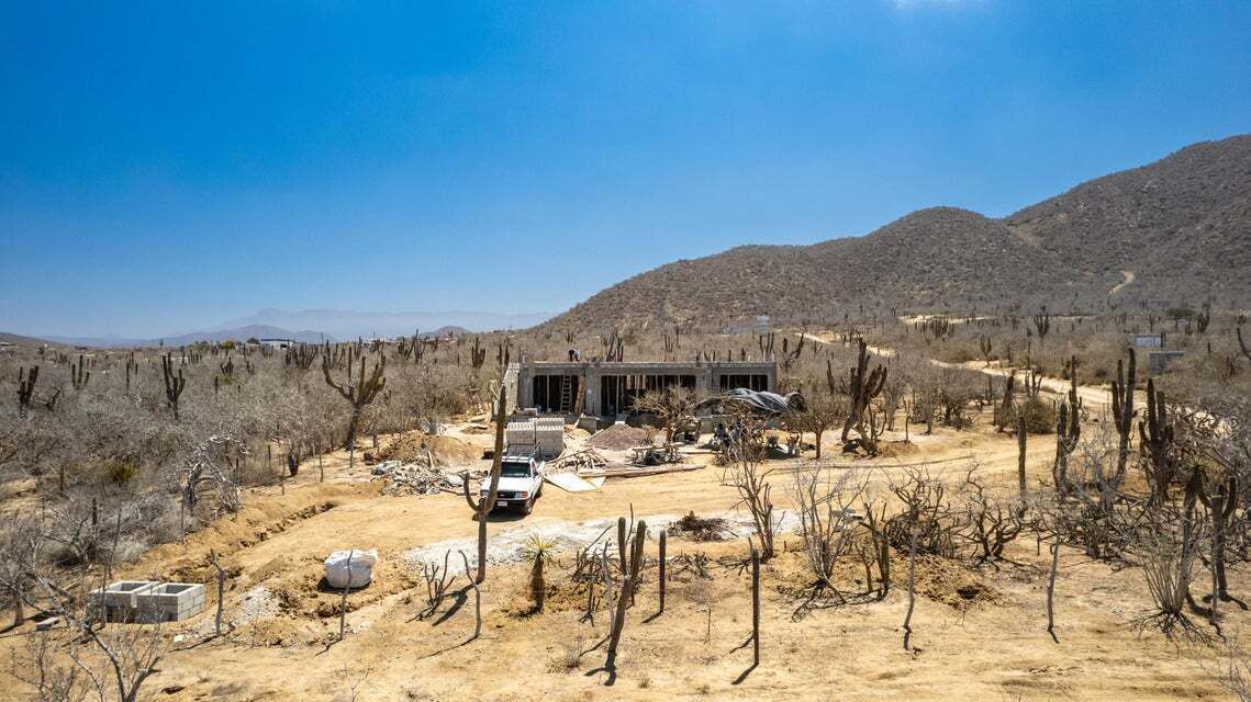 9 de 19